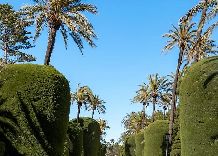 Falla Bajo Apartment